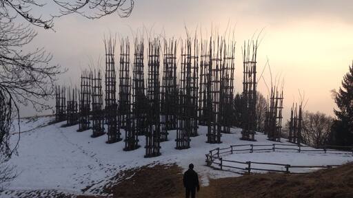 Vegetal cathedral during winter 2017