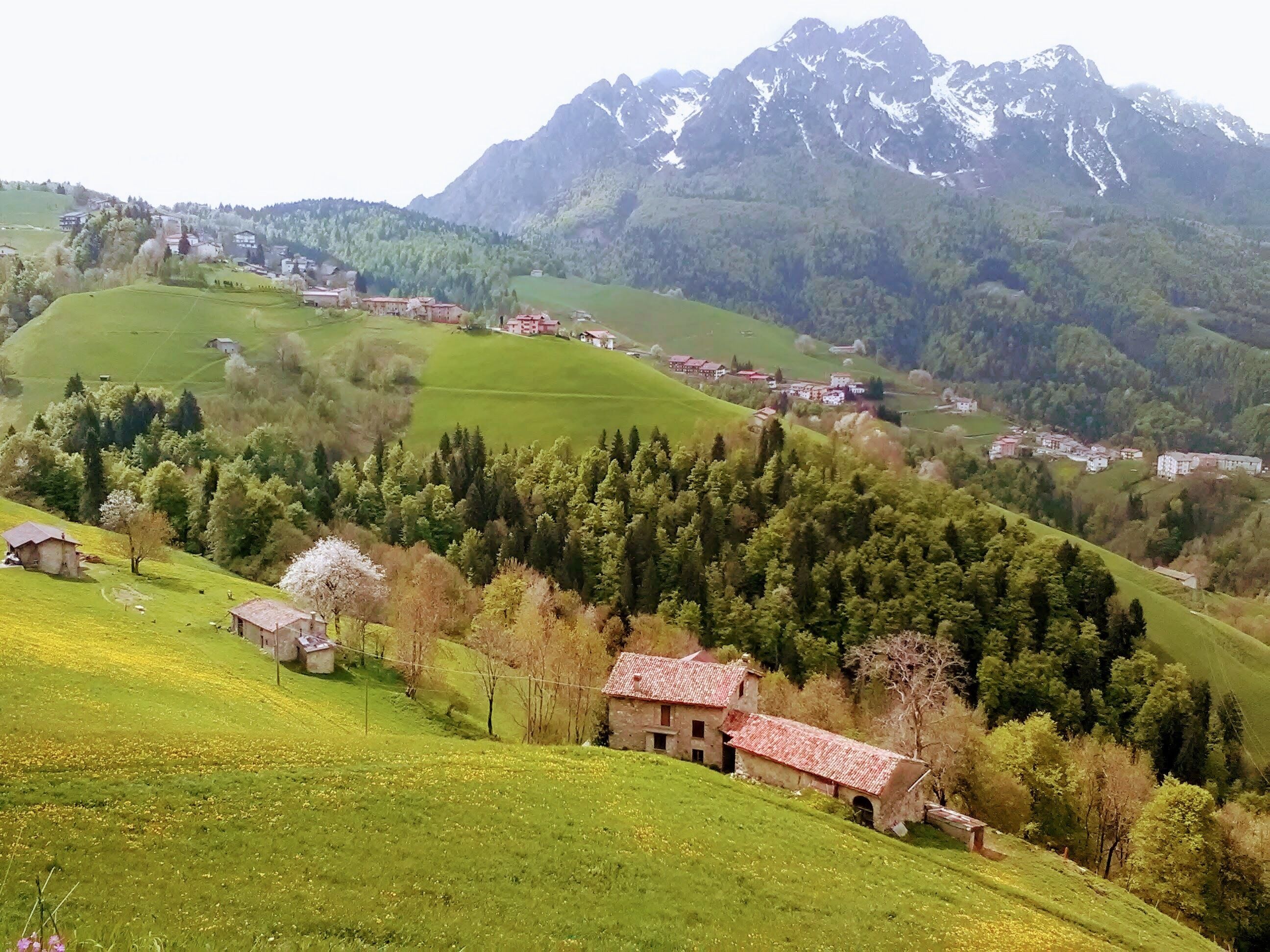 parco regionale delle Orobie Bergamasche (Q3895555)