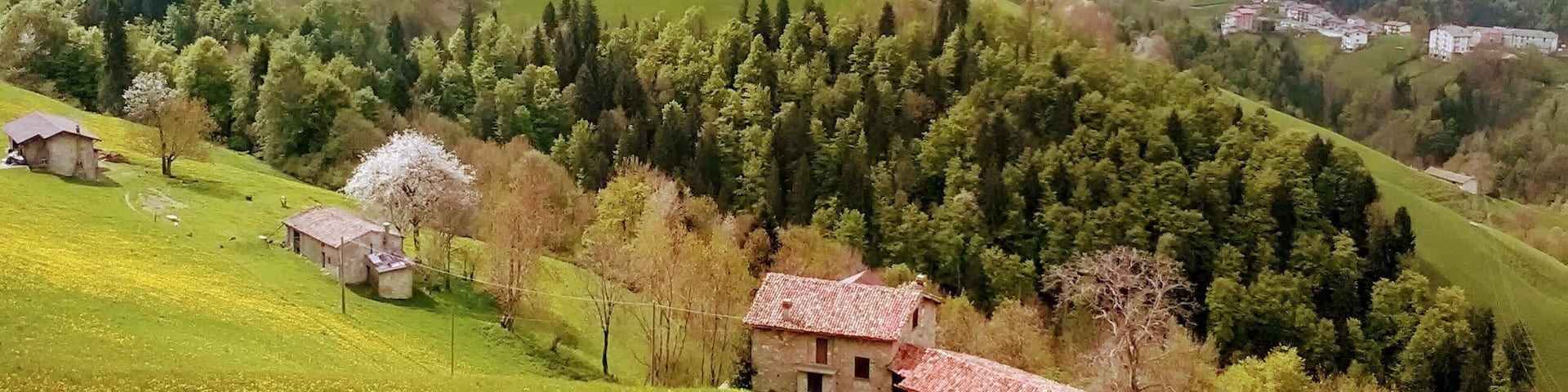 parco regionale delle Orobie Bergamasche (Q3895555)