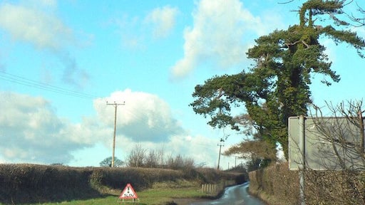 Lane off Sycamore Cross near Bonvilston