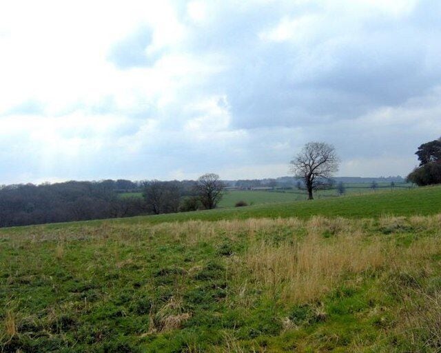 Towards Akesworth Coppice
