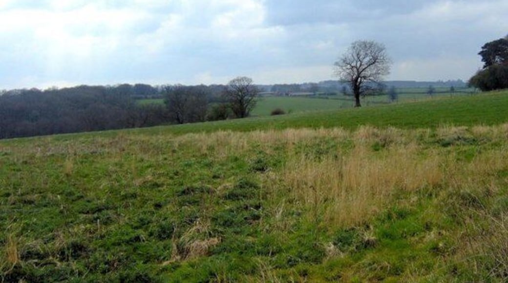 Towards Akesworth Coppice