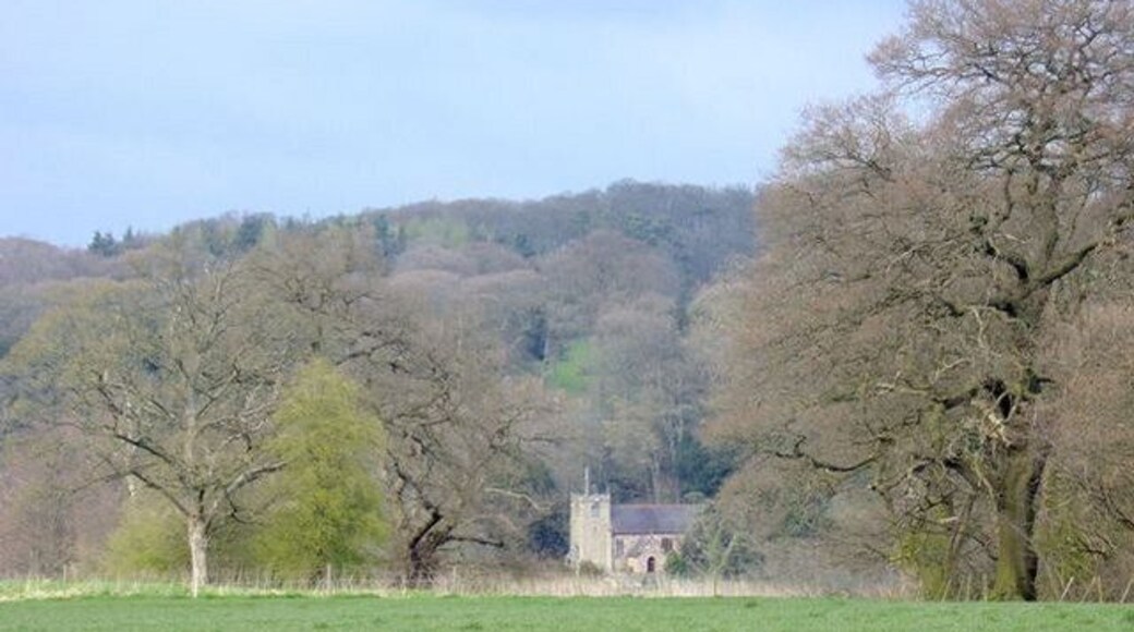 View north across fields at Maer, Staffordshire, to St Peter's parish church