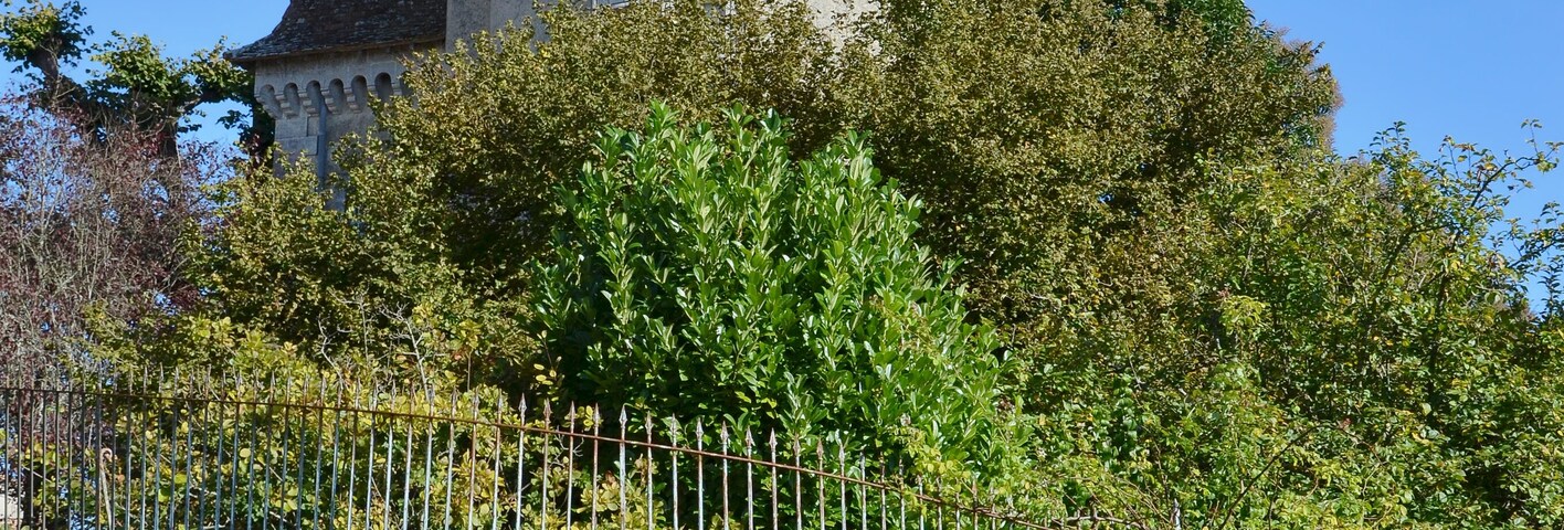 This building is indexed in the Base Mérimée, a database of architectural heritage maintained by the French Ministry of Culture, under the reference IA24000654 .