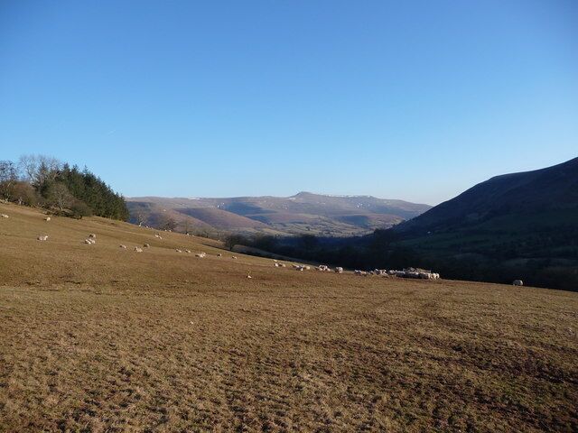 Sheep pasture above Pengenffordd With distant views southwards towards Pen Allt Mawr near Crickhowell.