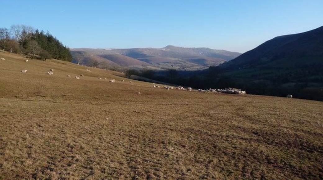 Sheep pasture above Pengenffordd With distant views southwards towards Pen Allt Mawr near Crickhowell.