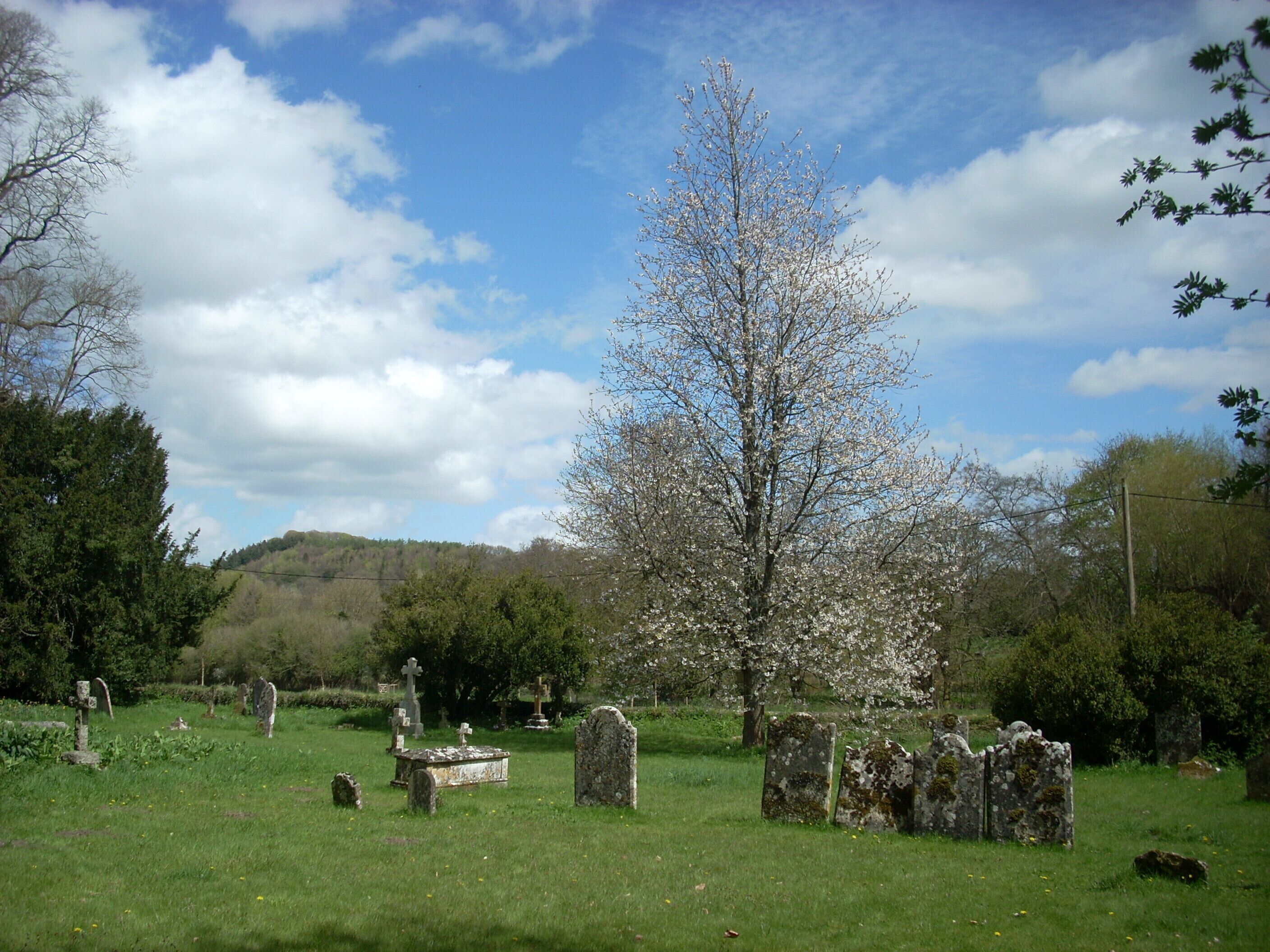 St. Andrew's Church in Donhead St Andrew, Wiltshire, UK.