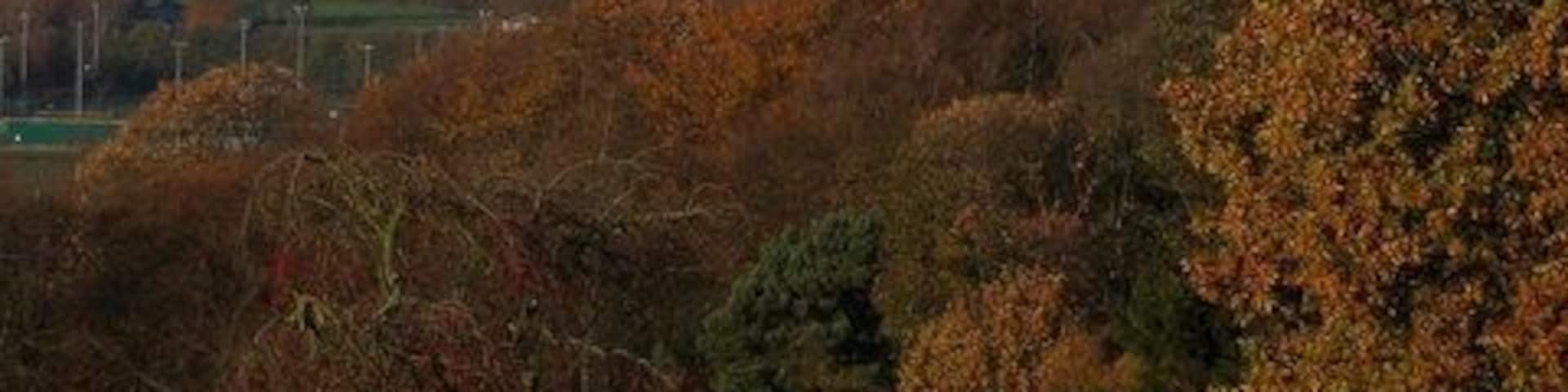 Looking down the footpath towards Durham Taken in the early morning in November.
