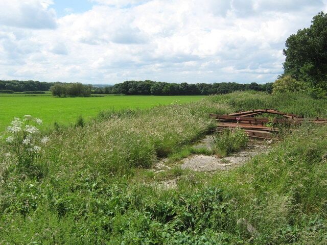 Former racecourse grandstand Adjacent to Strawberry Lane the remains with the course area beyond. Shincliffe Racecourse opened in 1895 and was closed by the start of the First World War.