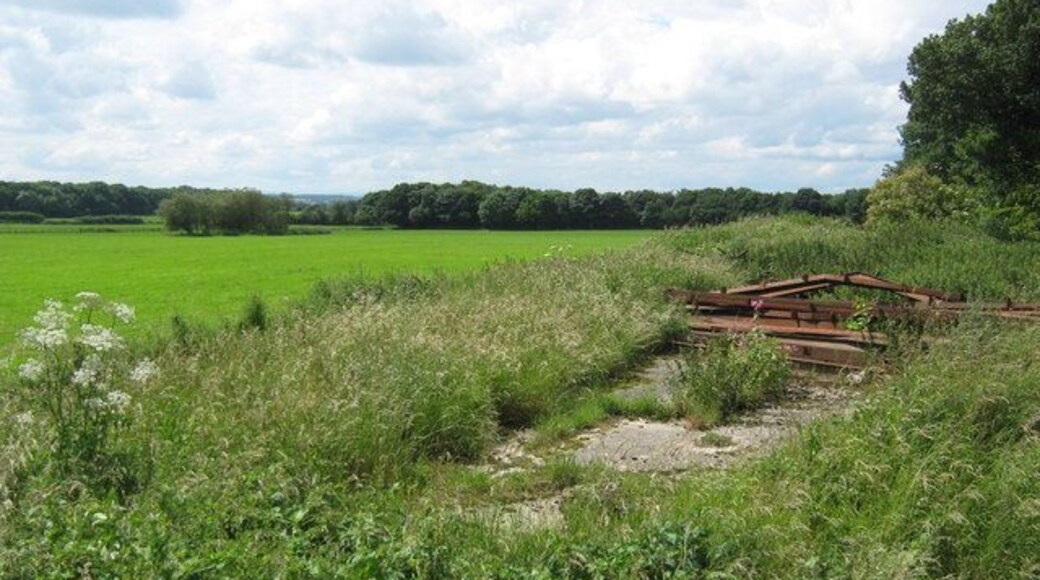 Former racecourse grandstand Adjacent to Strawberry Lane the remains with the course area beyond. Shincliffe Racecourse opened in 1895 and was closed by the start of the First World War.