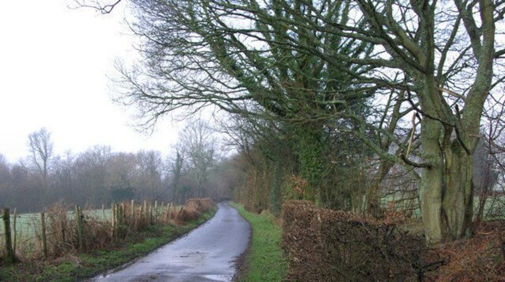 Lane towards Entry Hill Wood Little more to be said!