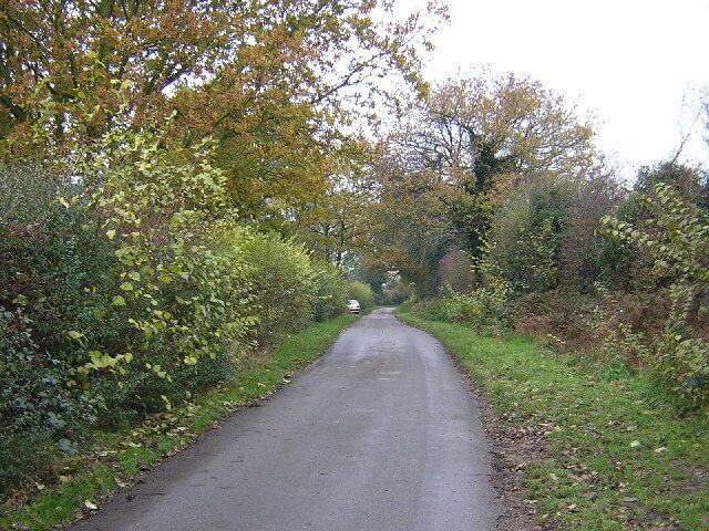 Back Lane, Wickham Bishops. As the central square for Essex it has little to stimulate major excitement. My alternate image would have been wild rabbits in an adjacent field. Back Lane is one of several single-track ways in the south side of Wickham Bishops.