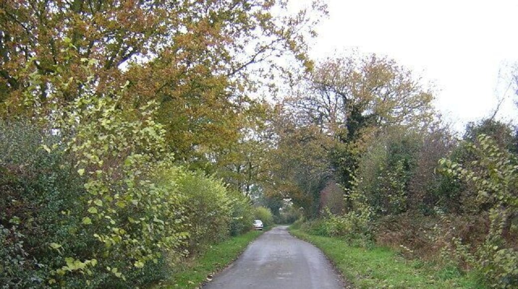 Back Lane, Wickham Bishops. As the central square for Essex it has little to stimulate major excitement. My alternate image would have been wild rabbits in an adjacent field. Back Lane is one of several single-track ways in the south side of Wickham Bishops.