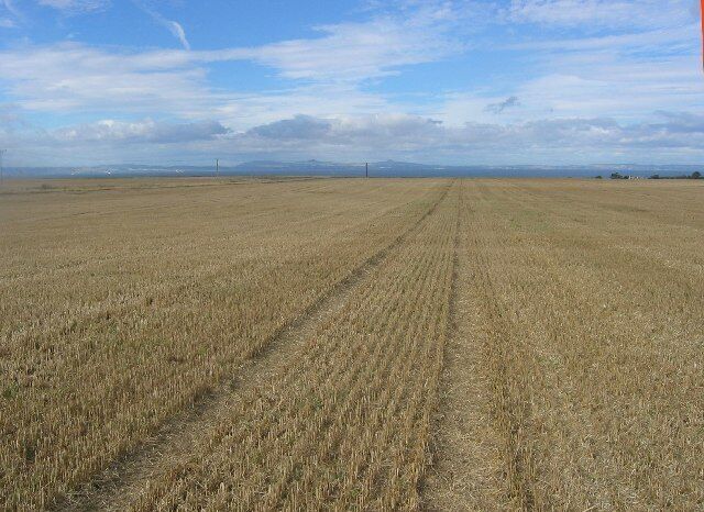 Big field. NT4273 has two features, it's almost entirely hedgeless arable land and is crossed by the new A1. This dual carriageway is a sort of motorway lite and stopping is not permitted so it appears to be a hard square to visit. The former yellow road from Kingslaw does still exist in a useable form although it is locked. After the harvest it's possible to cross the field to enjoy the big sky and view to Fife. This was once a very big opencast coal mine, now back-filled to make productive farmland. There are plans for a new town here.