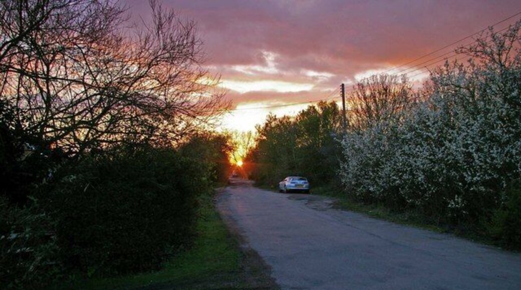Sunset in Peartree Lane. Peartree Lane runs off 51788.