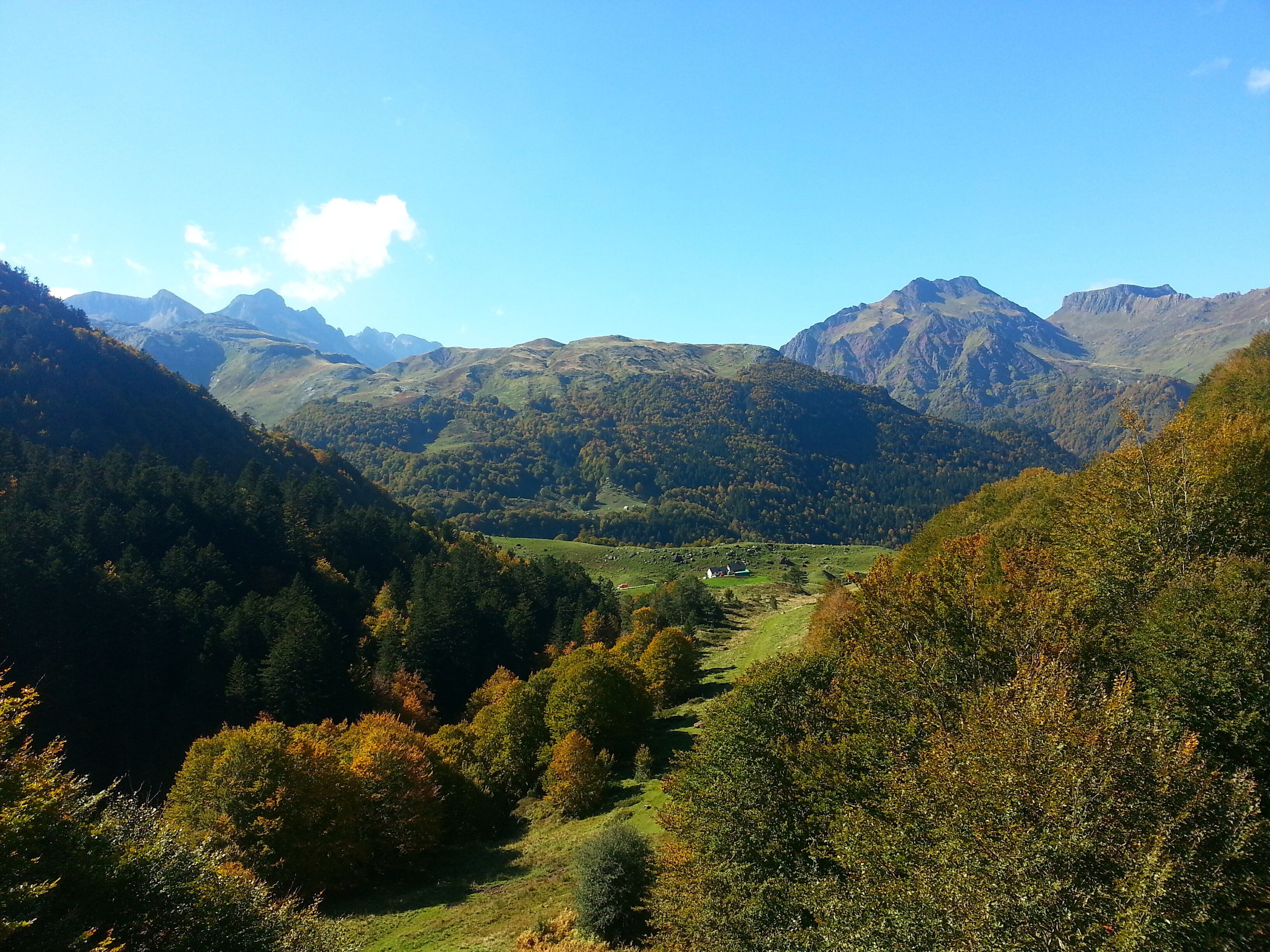 E,n amont de Peyrenère