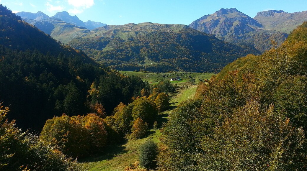 E,n amont de Peyrenère