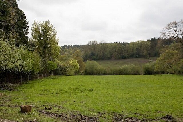 Field west of Manor House, Stoney Cross Looking towards woodland at The Grove.