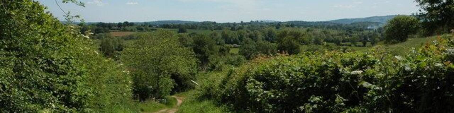 Track above Hopton Court, Stoke Lacy A distant May Hill, near Gloucester, is just visible on the horizon to the right of centre.