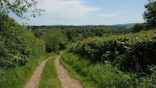 Track above Hopton Court, Stoke Lacy A distant May Hill, near Gloucester, is just visible on the horizon to the right of centre.