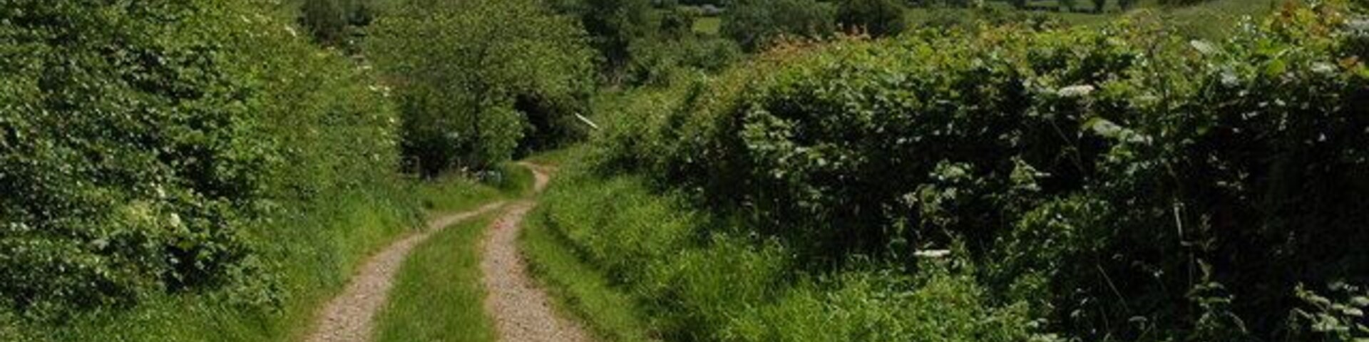 Track above Hopton Court, Stoke Lacy A distant May Hill, near Gloucester, is just visible on the horizon to the right of centre.
