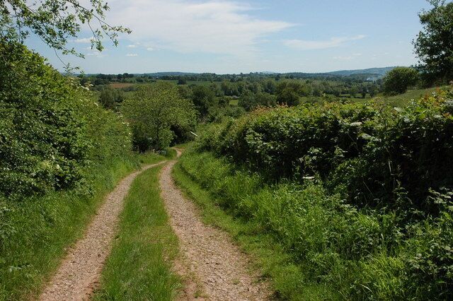 A rural dirt road winding through a lush green landscape with dense vegetation on both sides.