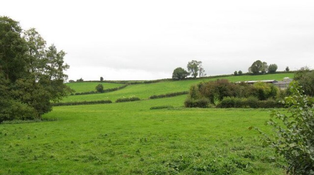Fields by Stoke Lacy bridge