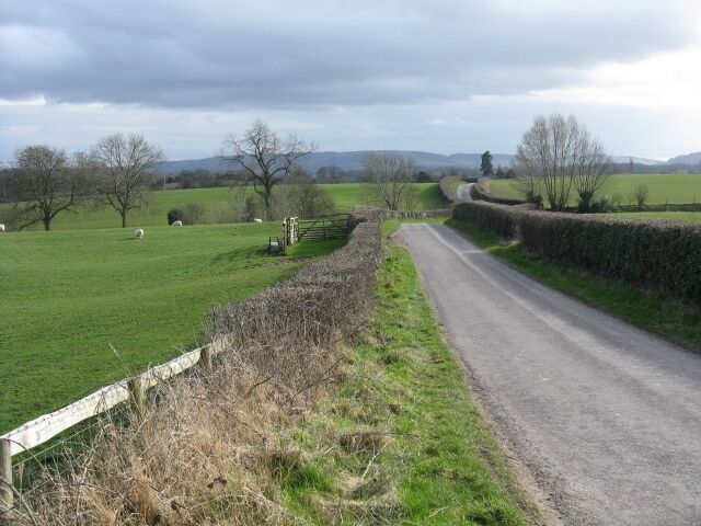 Lane To Wychend