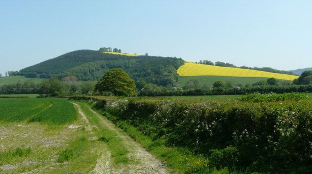 View to Gatley Hill Distinctive shape in spring colouration is seen from the east of the A4110.