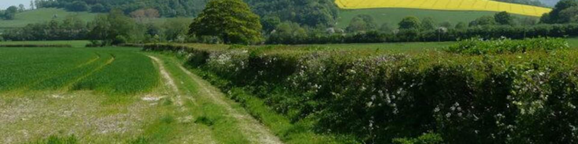 View to Gatley Hill Distinctive shape in spring colouration is seen from the east of the A4110.