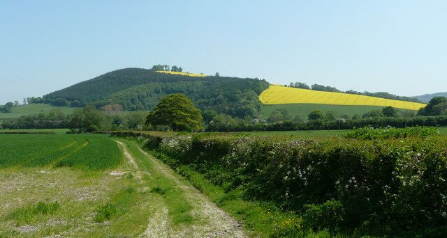 A rural landscape with a dirt path, fields, and a hill with yellow crops.