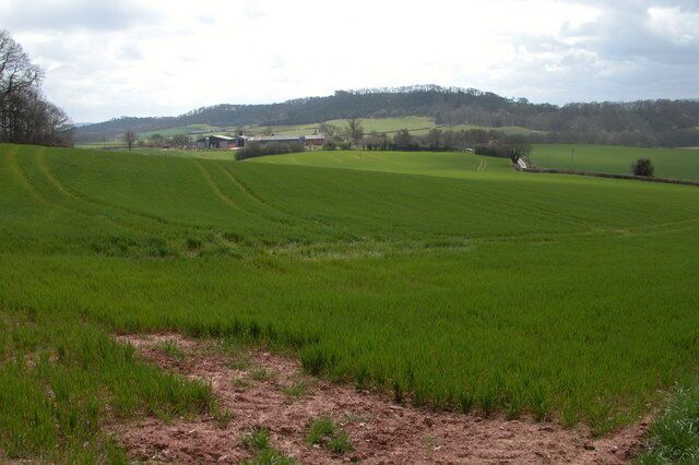 Holsty Farm, Vowchurch Holsty Farm, viewed across Monnington Straddle from near Monnington Court.