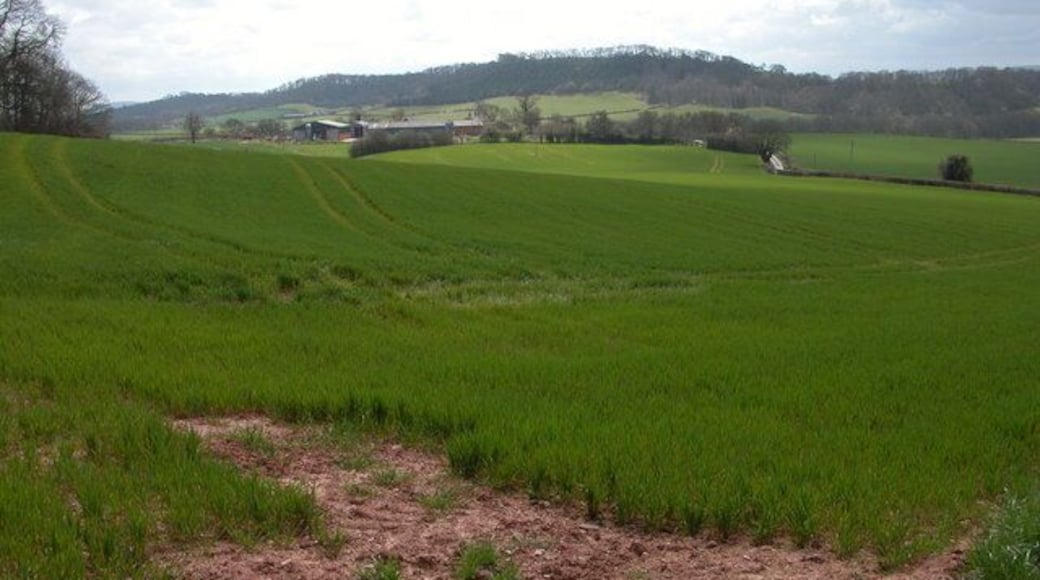 Holsty Farm, Vowchurch Holsty Farm, viewed across Monnington Straddle from near Monnington Court.