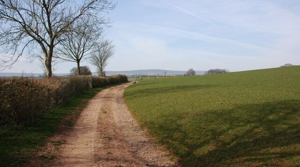 Farm track at Shegear farm, near Turnastone The Black Mountains can be seen on the horizon.