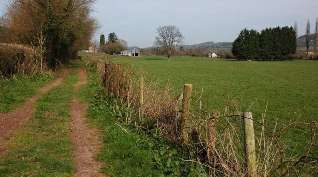 Track to the south of Peterchurch A bridleway follows this track and the Herefordshire Way crosses diagonally the field in the right.