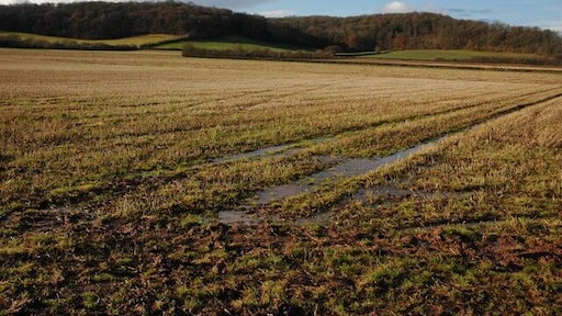 View across stubble field to Chanstone Wood Chanstone wood is on a hill to the south of Vowchurch in the Golden Valley.
