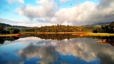 What a way to spend early morning hours.. Nothing is better than having to see such a beautiful landscape and magic of sunlight playing hide and seek with light and shadow.
This particular bridge where I was standing and taking pictures is a spot where I can see both sunrise and sunset on one spot.. This is the west side.
Used a cokin GND 2 stop filter(handheld in front of the phone) with HDR mode on the cell phone
#nature #travel #landscape #river #Karnataka #India #cellphone-photography #reflections