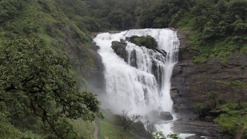 Ein Wasserfall stürzt über eine felsige Klippe, umgeben von üppiger Vegetation.