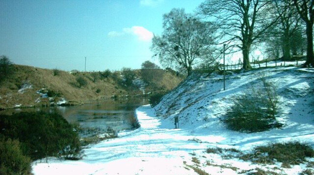 Pant Glas. Spring arrives a little sometimes