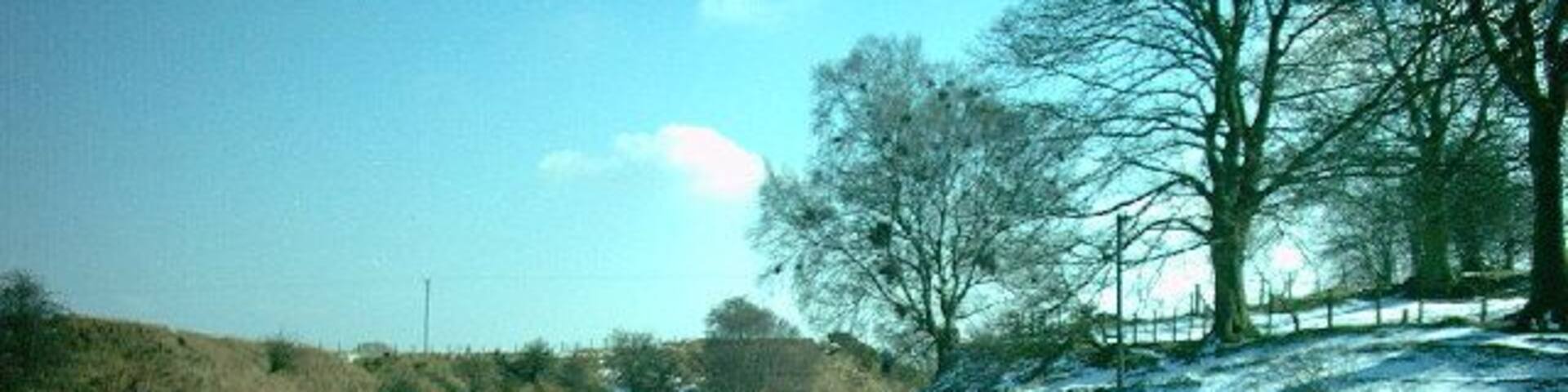 Pant Glas. Spring arrives a little sometimes