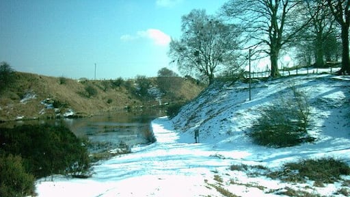 Pant Glas. Spring arrives a little sometimes