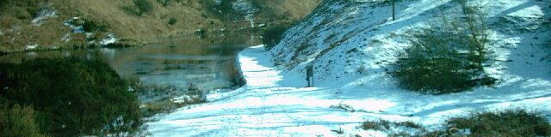 Pant Glas. Spring arrives a little sometimes