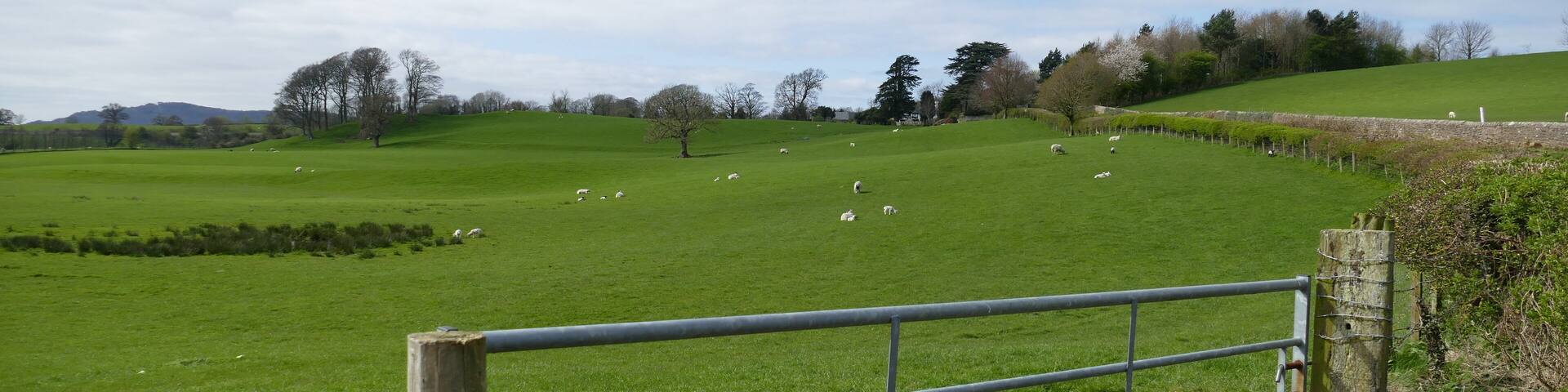 7.4.17 Hornby to Keswick