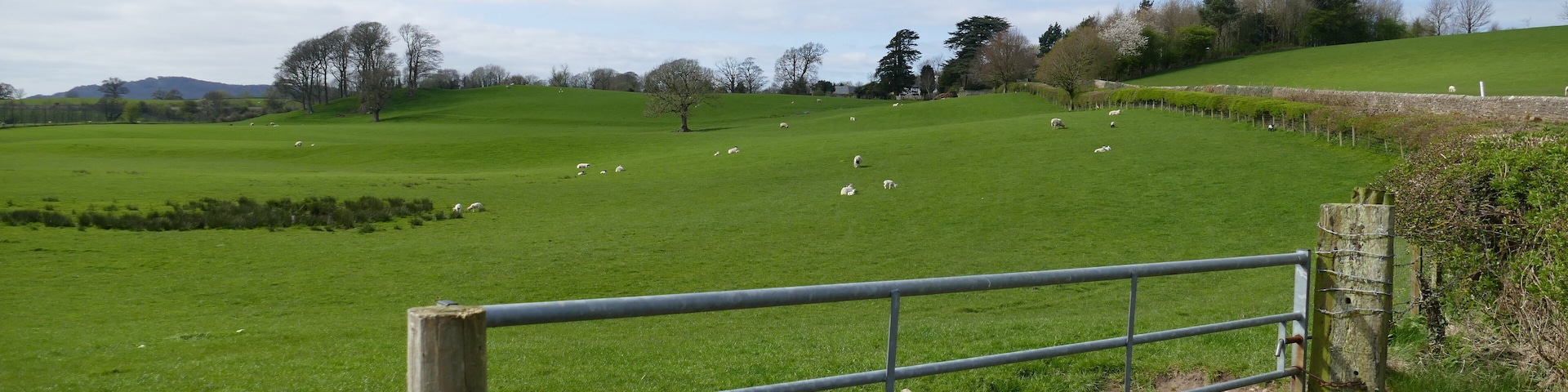 7.4.17 Hornby to Keswick