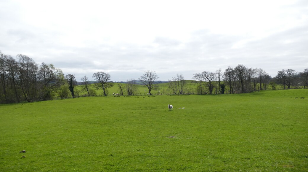 7.4.17 Hornby to Keswick