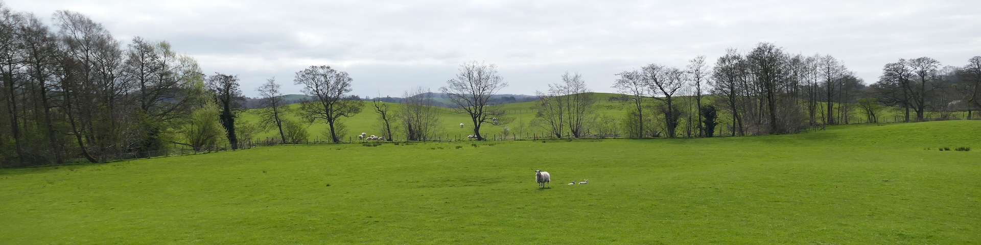 7.4.17 Hornby to Keswick