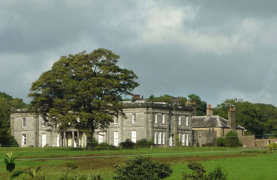 A large stately building with a prominent tree in front.