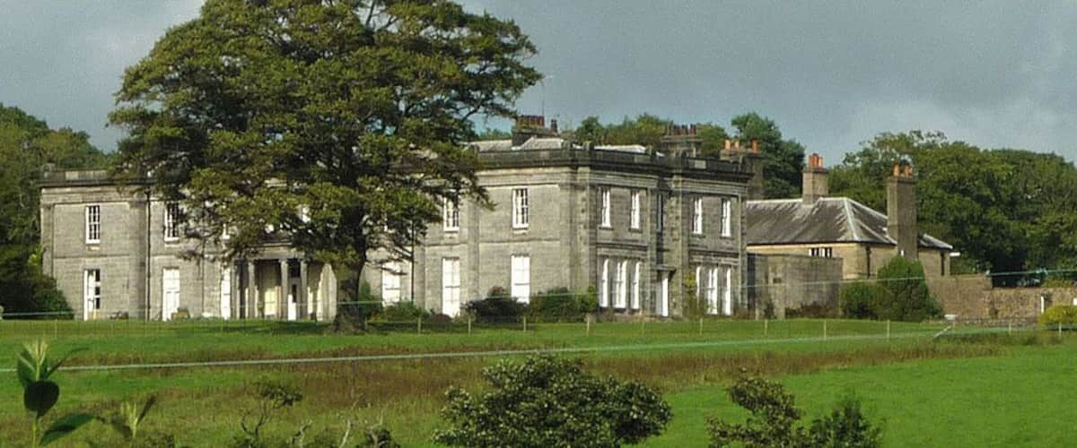 A large stately building with a prominent tree in front.