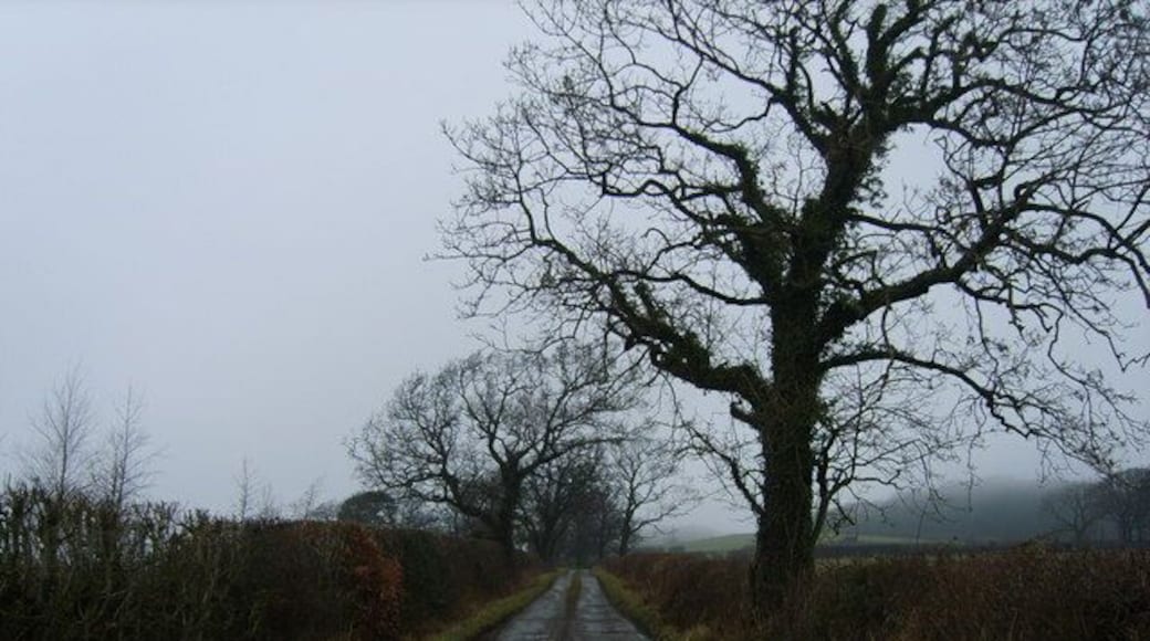 Track to Croft Height In Dolphinholme