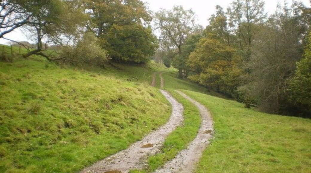 Track off Abbeystead Road near Lower Green Bank